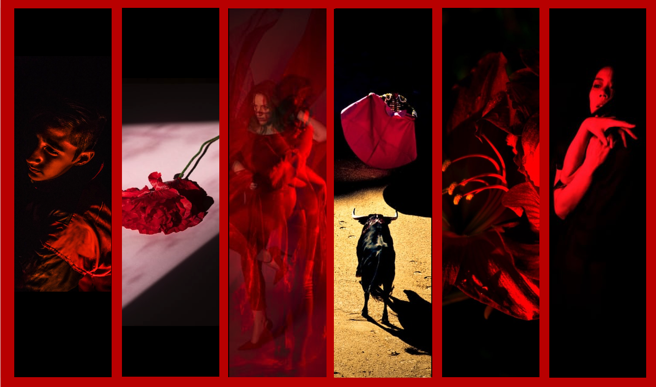 Tom Guthrie Insights: “Carmen”